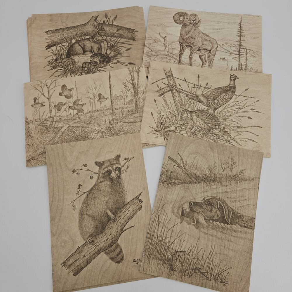 Vintage Wildlife Animal Art Print Stationary Blank Note Cards Artist Bob White